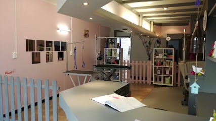 Truffe Et Moustache, Toiletteur pour Animaux à Steenvoorde