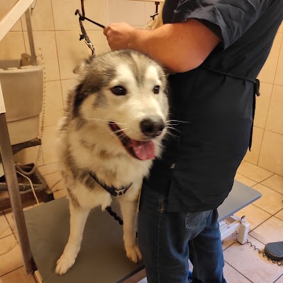Boule De Poils, Toiletteur pour Animaux à Longwy
