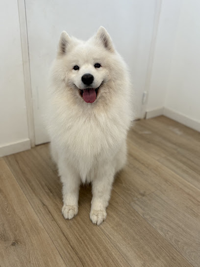 Majestic Dog Toiletteur Pour Animaux à Gières