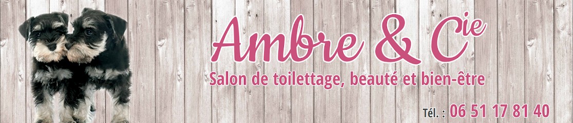 Ambre & Cie Toilettage, Toiletteur pour Animaux à Millau
