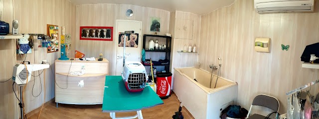 Sandrine toilettage, Toiletteur pour Animaux à Saint-Jean-d'Heurs