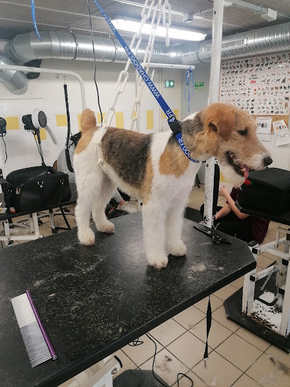 Les Bonnes Pattes Toiletteur Pour Animaux à Limoges