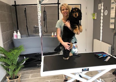 Bichoumizen Toilettage, Toiletteur pour Animaux à Longueville-sur-Scie