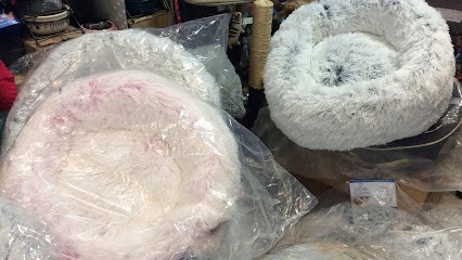 BIGOUDI, Toiletteur pour Animaux à Lyon 06