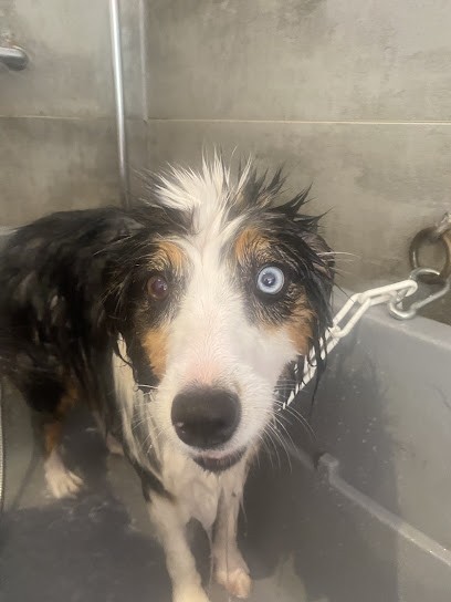 Animal Love, Toiletteur pour Animaux à Brignoles