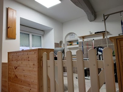 YSILANNE TOILETTAGE, Toiletteur pour Animaux à Saint-Jean-de-Bournay