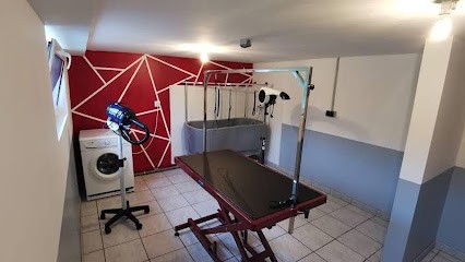 Can'idéal27, Toiletteur pour Animaux aux Andelys