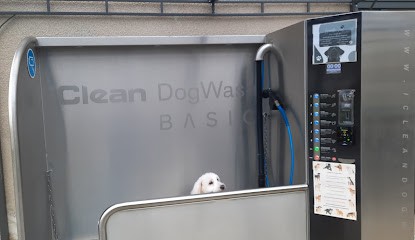 Artist'ochien, Toiletteur pour Animaux à Villers-Bocage