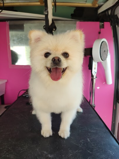 Canibain Chow, Toiletteur pour Animaux à Biganos