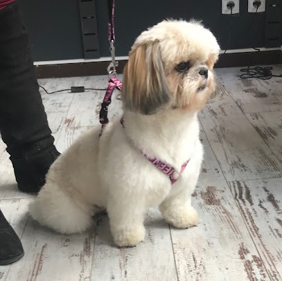 Wouaf’Couaf Attitude, Toiletteur pour Animaux à Vizille