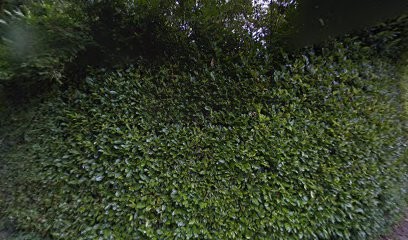 Favreau Marc, Toiletteur pour Animaux à Manneville-la-Pipard