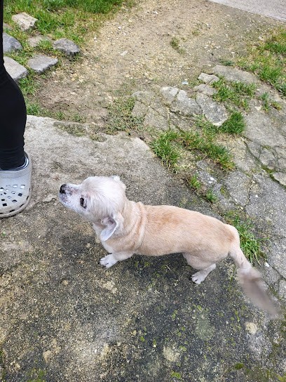Cani'plouf, Toiletteur pour Animaux à Chamery