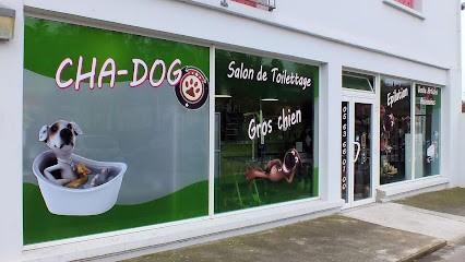 Cha Dog, Toiletteur pour Animaux à Montauban