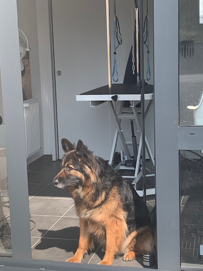 Jaden - Toilettage Chien Et Pension Pour Chat, Toiletteur Pour Animaux aux Bréviaires