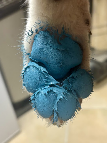 Cabana Poils Toiletteur Pour Animaux à Cugnaux