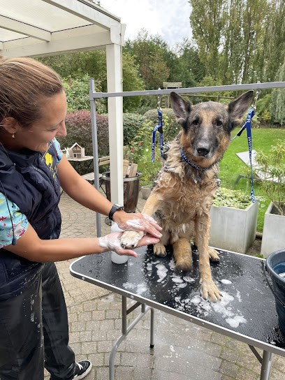 Médor et Marine - Toilettage grands chiens et chats à domicile, Toiletteur pour Animaux à Frelinghien