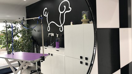 Le Salon de Jump Toilettage, Toiletteur pour Animaux à Cournon-d'Auvergne