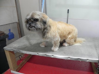 A Tous Poils, Toiletteur pour Animaux à Moosch