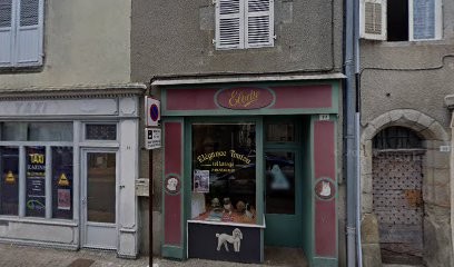 Elegance Toutou, Toiletteur pour Animaux au Dorat