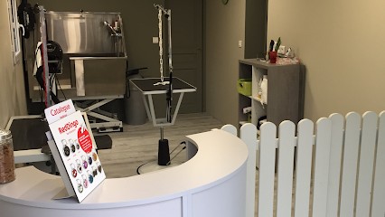 Villemouss’toutou, Toiletteur pour Animaux à Villemoustaussou