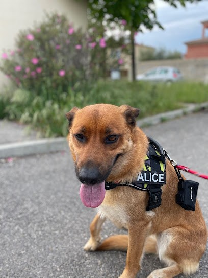 TOUTOU Clean.com, Toiletteur pour Animaux à Tarascon