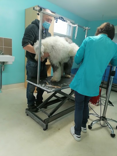 L'ABC Du Toilettage, Toiletteur pour Animaux à Merdrignac