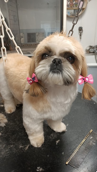 Dog Shop, Toiletteur pour Animaux à Malakoff