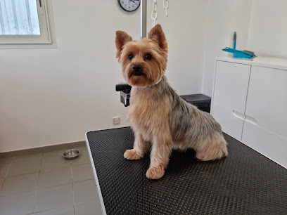 La Pomponnerie Toiletteur Pour Animaux à Ploërmel