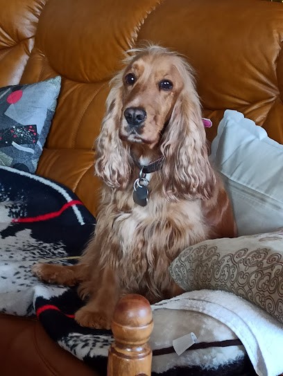 Toutouchic'truck, Toiletteur pour Animaux à Pfastatt