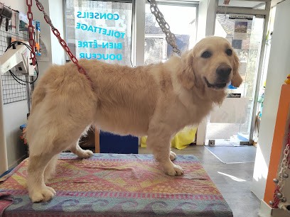 Saint Roch Toilettage, Toiletteur pour Animaux à Villeneuve-sur-Yonne