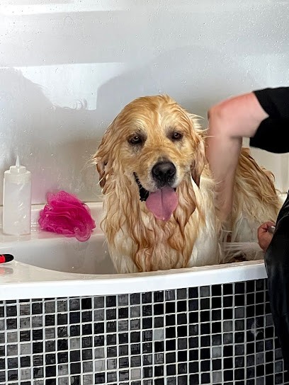 Aux P'tits Soins - Toilettage, Toiletteur pour Animaux à Pinsaguel