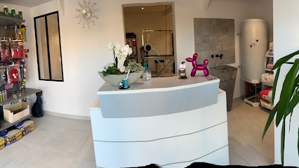 Coupe Au Poil, Toiletteur pour Animaux à Istres