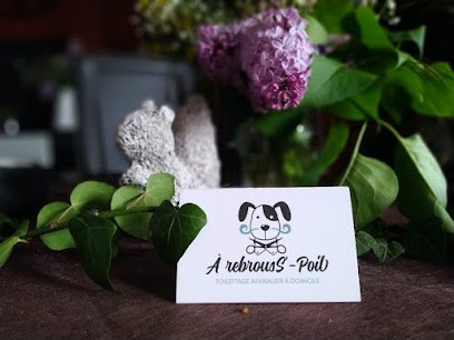 A RebrousS-Poil, Toiletteur pour Animaux à Mussig