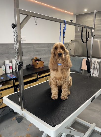 Mundog'studio, Toiletteur Pour Animaux à Mundolsheim