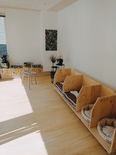 L'Atelier Toiletteur, Saint-Omer, Toiletteur pour Animaux à Saint-Omer