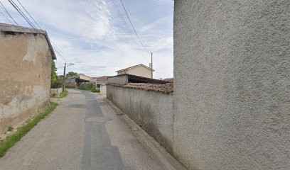 Shinydog, Toiletteur pour Animaux à Tramoyes