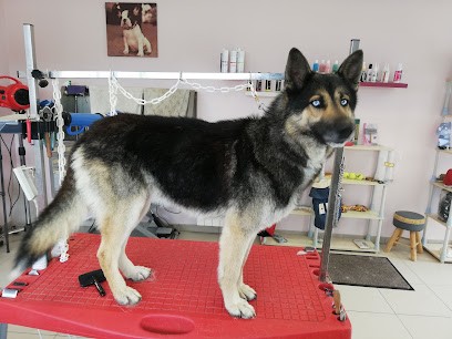 Au plaisir du chien, Toiletteur pour Animaux à Loudéac