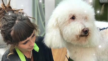 Le Salon de Shiva, Toiletteur pour Animaux à Frontignan