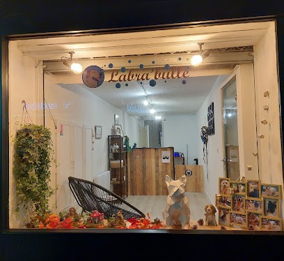 Labra'bulle, Toiletteur pour Animaux à Châteaudun