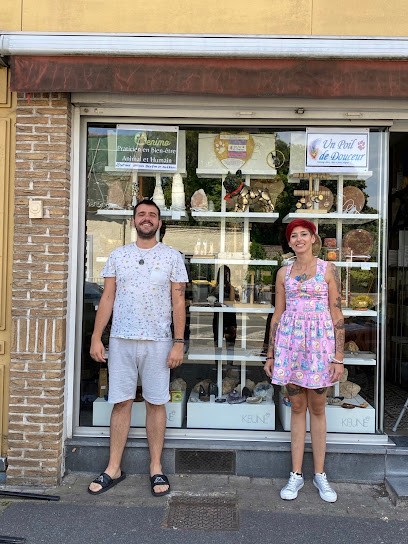 Un Poil De Douceur, Toiletteur pour Animaux à Saint-Saulve