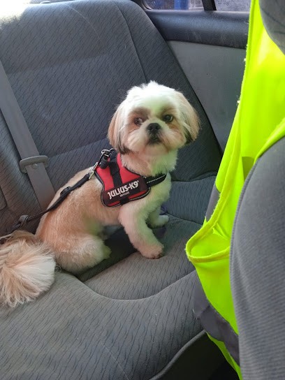 Le Masque Noir, Toiletteur pour Animaux à Ramonville-Saint-Agne