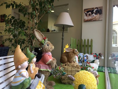 Baby Dog, Toiletteur pour Animaux à Vichy