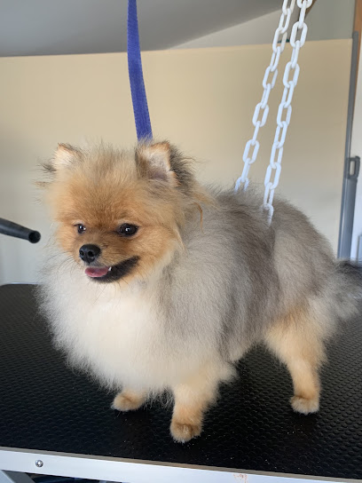 Nini Toilettage
