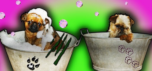 Griffes et Mouss'tâches, Toiletteur pour Animaux à Lullin