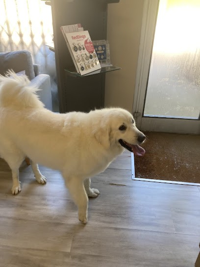 Quatre Pattes Beauté, Toiletteur pour Animaux à Rioz