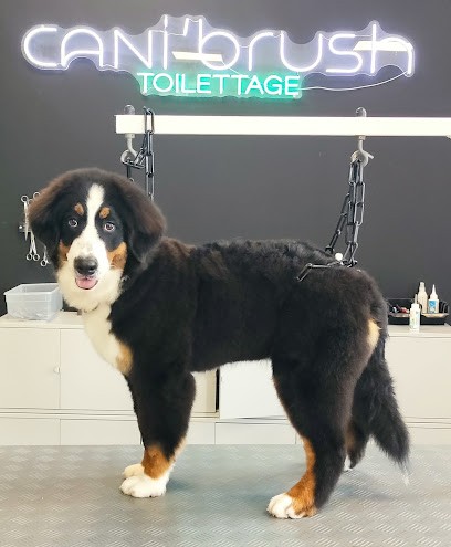 CANI'BRUSH, Toiletteur pour Animaux à Saint-Omer