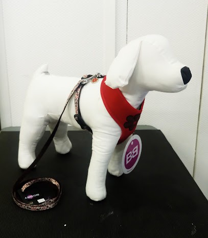 Toutou Pour Moi, Toiletteur pour Animaux à Romorantin-Lanthenay