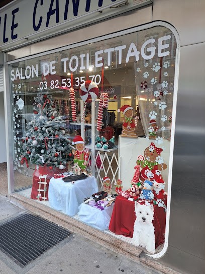 Style Canin, Toiletteur pour Animaux à Thionville