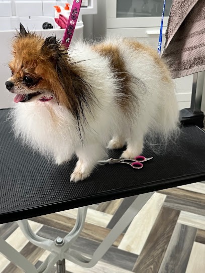 Dog Style, Toiletteur pour Animaux à Valras-Plage