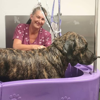 Bon Chien Bon Genre Toilettage Toiletteur Pour Animaux à la Teste-de-Buch